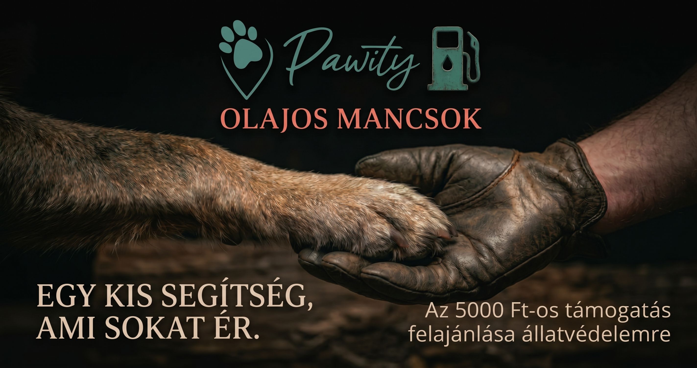 Olajos Mancsok: dízeltámogatás, ami egy menhelyen is jól jön