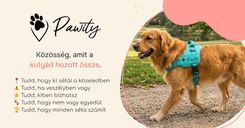Állatok Világnapja a Pawityban: ma dupla jutifalat jár minden sétáért